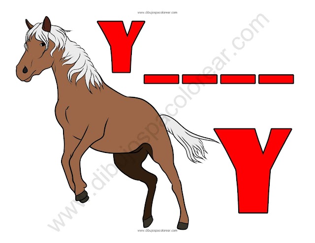 Yegua letra Y abecedario dibujo a color y para colorear